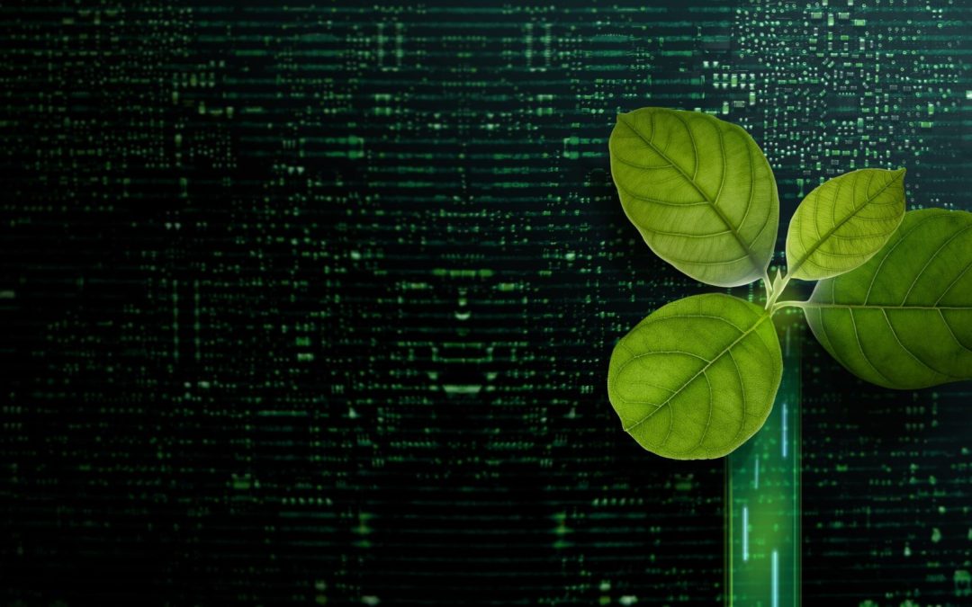 Green AI: 5 Ways Business Leaders Can Use AI Sustainably in 2025