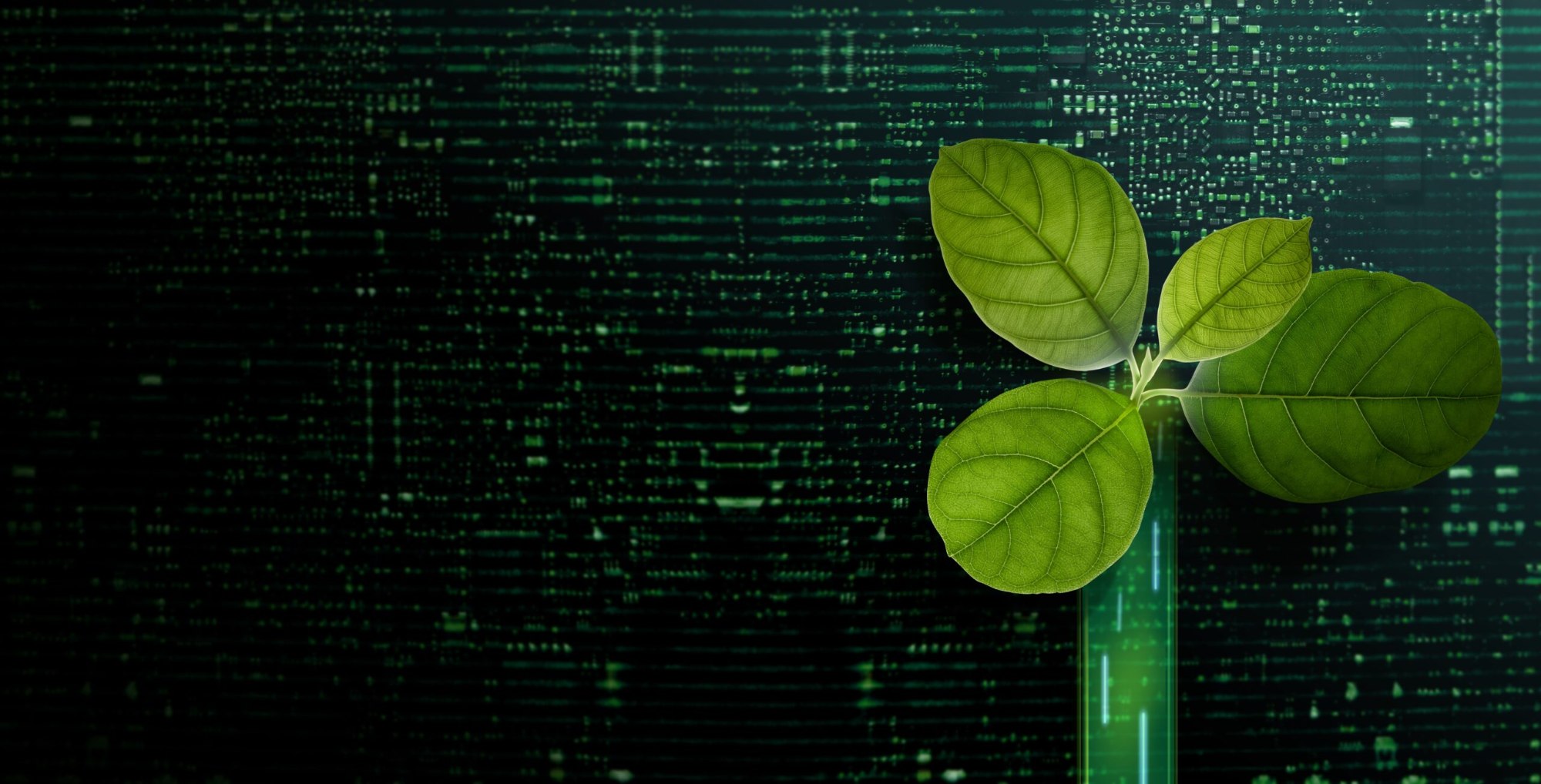 Green Ai Scaled