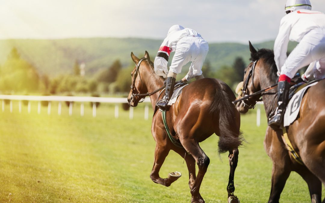 Two,horses,and,jockeys,competing,in,the,race.,the,sunlit